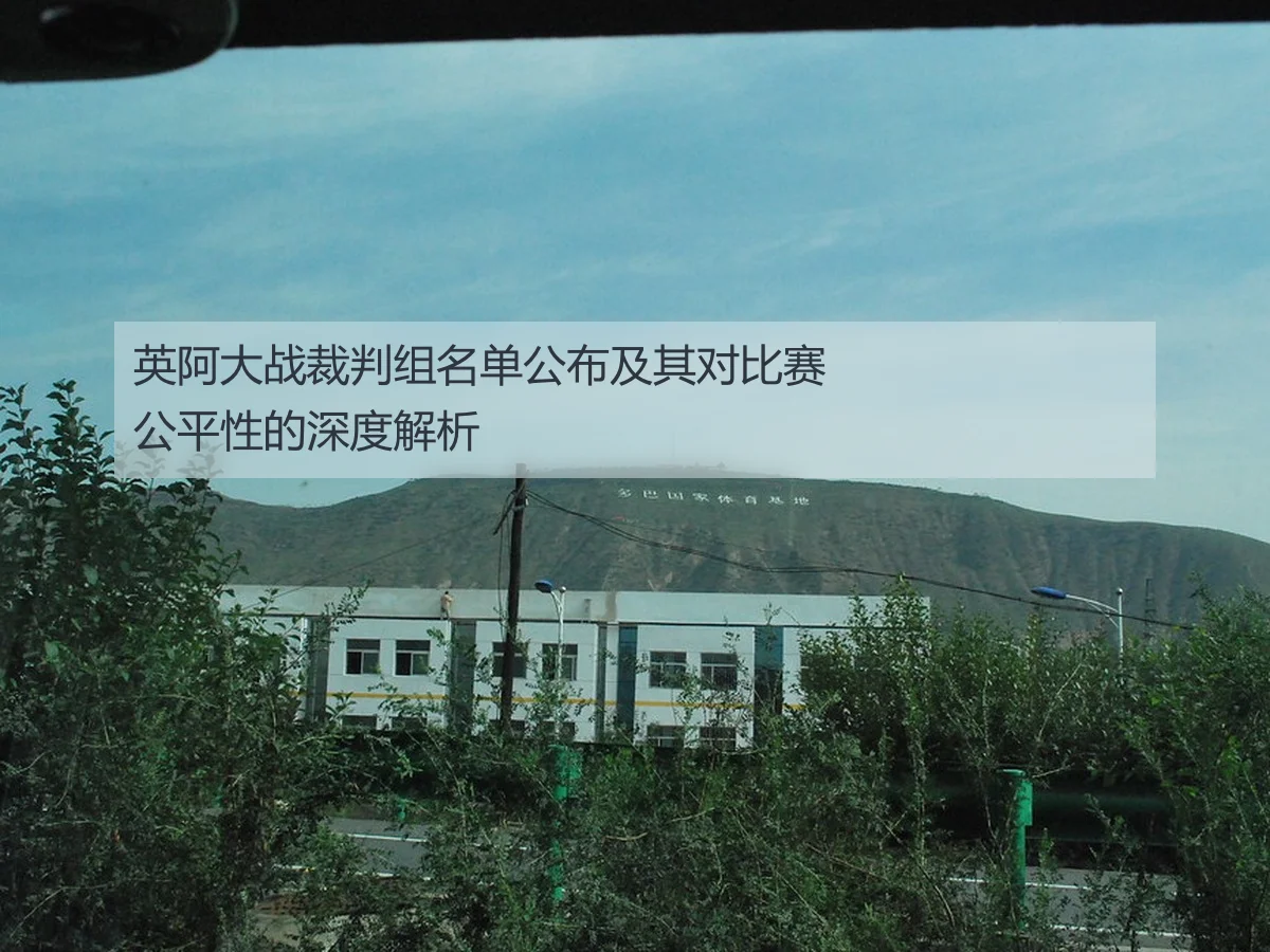 英阿大战裁判组名单公布及其对比赛公平性的深度解析